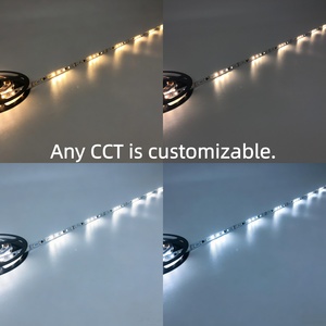 Bande LED Pixel DMX DC24V Mono Blanc IP20 pour Façade de Bâtiment, Mur Encastré, KTV, Bar, Studio Extérieur et Intérieur, Bande Adressable - Product Image 3