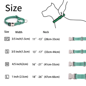 Productos más vendidos de alta calidad, Collar de entrenamiento para perros, Collar personalizado para mascotas, Collar colorido para mascotas de nueva moda - Product Image 6