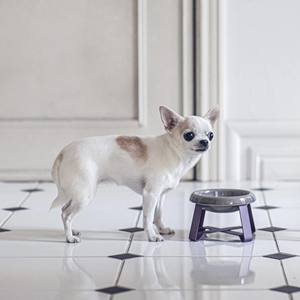 Bol en céramique écologique pour chien et chat support d'alimentation surélevé réglable support de nourriture surélevé durable bons bols pour animaux de compagnie mangeoires Pecolo - Product Image 3