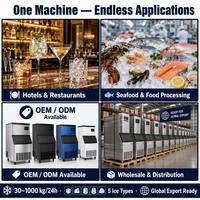 Machine à glaçons commerciale 66lbs/24h sous comptoir, 11lbs de stockage, compresseur, pour maison, bar, café, restaurant, OEM, ODM, CE