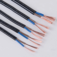 Câble d'alimentation plat souple à 2 conducteurs de 0,5 à 4 mm², gainé, en cuivre pur, pour éclairage LED, cordon d'alimentation automobile, projets de bricolage