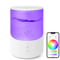 Humidificateur 2,5 L pour chambre à coucher - Remplissage et nettoyage faciles - Utilisation pour grandes pièces - 28 dB - Veilleuse silencieuse