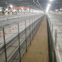 Système de contrôle centralisé automatique, cage à poulets de type H, gain de place, pour élevage de poulets moderne (nouvelle certification ISO CE)