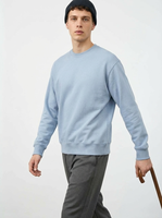 Vendeurs en gros de sweats à capuche d'hiver personnalisés, 320g, polyester écologique, soie, col rond basique, coupe régulière, unisexe, poids lourd