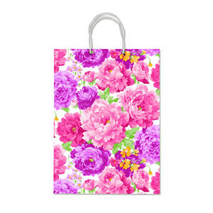 Sacchetto con coulisse REX assortito, dimensioni 20.5x26x11.5cm - Product Image 1