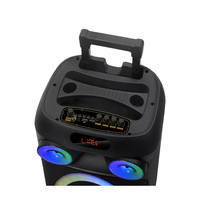 Enceinte Bluetooth avec Micro Sans Fil, Lampe d'Ambiance Colorée, Haut-Parleur Karaoké avec Micro et Bluetooth