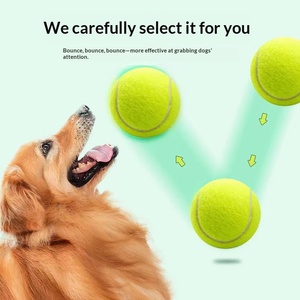 Balle de tennis flottante en caoutchouc élastique pour <span class=keywords><strong>chien</strong></span>, résistante à l'usure, <span class=keywords><strong>jouet</strong></span> d'extérieur pour chiot, <span class=keywords><strong>chien</strong></span> de taille moyenne/grande, vente en gros - Product Image 2