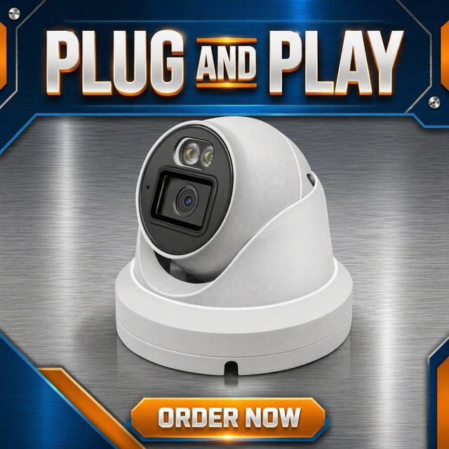 OEM 4MP H265 Dual Light POE IP Camera Full Color Night Vision AI Human Detection Audio IP67 Security Surveillance Camera