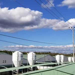 Meilleur prix pour silos de stockage alimentaire pour porcs, petits silos à alimentation pour porcs en acier inoxydable, fabricant vietnamien de silos de stockage de céréales - Product Image 3