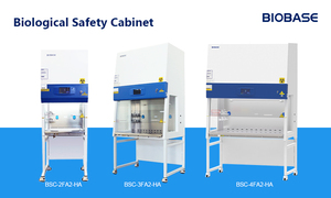 <span class=keywords><strong>Balanza</strong></span> <span class=keywords><strong>Analítica</strong></span> Electrónica Automática BA-C, Báscula de Laboratorio (<span class=keywords><strong>Calibración</strong></span> Interna) - Product Image 6