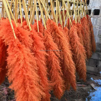 Dekorasi Bunga Pernikahan & Hari Ibu - Rangkaian Bunga Rumput Pampas Kering Awet - Tahan Lama 3-5 Tahun Dekorasi Salon & Rumah