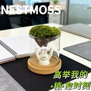 Vase en verre Guanshan Cup pour paysage miniature en mousse, ornement de bureau, cadeau créatif pour événements - Product Image 2
