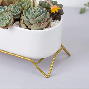 <span class=keywords><strong>Maceta</strong></span> Moderna Minimalista de Porcelana para Flores, Cactus, Plantas Artificiales, Contenedores para Ventanas, Decoración para Escritorio y Ventanas - Product Image 5