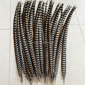 Plumes de queue de faisan Reeves Venery de 100-110 cm, plumes décoratives pour costume de carnaval, décoration de scène de mariage, fête - Product Image 1