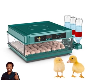 미니 아프리카 계란 부화기 오리알 부화기 36-68 계란 부화 머신 - Product Image 1