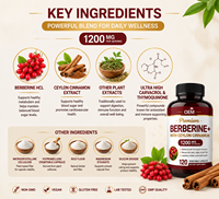 Capsules d'Berberine OEM 1200 mg avec Cannelle de Ceylan Pure, Végétaliennes, Sans OGM, Sans Gluten, Complément Alimentaire Herbal pour le Bien-être Corporel