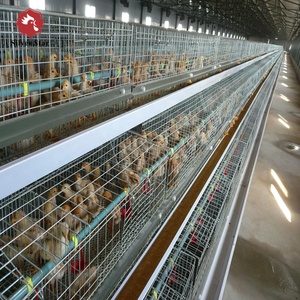 A Type Automatic Baby <strong>Layer</strong> <strong>Chicken</strong> <strong>Brooder</strong> <strong>Cage</strong> Day Old Chick Battery Pullet <strong>Cage</strong> - Product Image 3