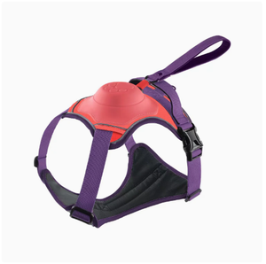 Harnais <span class=keywords><strong>de</strong></span> promenade rétractable pour <span class=keywords><strong>chien</strong></span> avec support dorsal, sans fermeture et anti-évasion, pour chiens <span class=keywords><strong>de</strong></span> taille moyenne et grande - Product Image 1