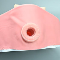 Modèle de formation en gynécologie, laparoscopie et hystéroscopie, utérus, fibrome, cavité pelvienne, module de pratique chirurgicale