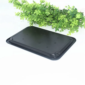 Plateau jetable noir <span class=keywords><strong>Timeco</strong></span> PT-1002 en gros, plateau en plastique PP pour supermarché, bol pour viande, emballage sous vide - Product Image 2