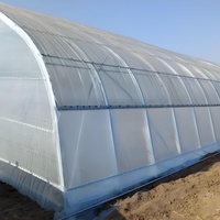 24m Grande maison de culture de plain-pied à une couche Couverture hydroponique stable en PE Banc roulant Serre polytunnel Cadre en acier Toit arqué