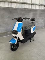 Moto électrique puissante de haute qualité 1000W pour adultes – Vente en gros