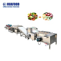 Productlijn voor machines voor het wassen van fruit
