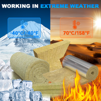 Panneau de laine de roche incombustible de 25 à 200mm Support OEM Finition lisse Panneaux sandwich minéraux ignifuges Isolation en laine de roche
