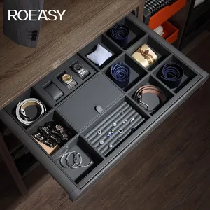 ROEASY Wardrobe Bedroom Furniture Hardwar Wardrobe Accessories Multi-Functional Storage Drawer Pull Out Jewelry Box