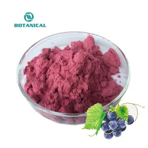 B.C.I อุปทานเกรด Top แบล็คเคอแรนท์สารสกัดจากผลไม้/แบล็คเคอแรนท์ Anthocyanin