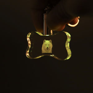 Petit pont, vente en gros, personnalisation, porte-clés en cristal LED en forme d'os 3D, pour cadeaux souvenirs - Product Image 6