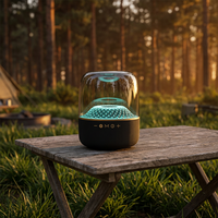 Enceinte sans fil TWS à double appairage, système audio stéréo HiFi 300W, lumière LED RGB, Boombox portable