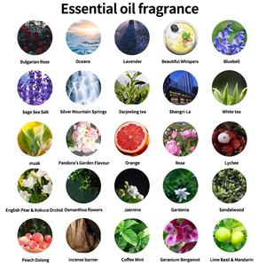 Coffret de Parfums aux Huiles Essentielles de Rose 100% Pures 10ml, Diffuseur à Bâtonnets Naturel <span class=keywords><strong>Soluble</strong></span> dans l'Eau pour Aromathérapie, Massage, Cadeau - Product Image 3