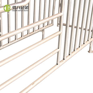 Vente directe d'usine nouveau stylo à cloison unique en acier galvanisé garantie 1 an stalles individuelles de porcelets pour les fermes porcines - Product Image 5