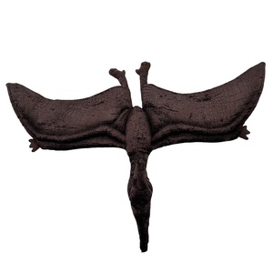 Jouets en peluche de pterosaure personnalisés OEM/ODM, animaux en peluche de dinosaure réalistes, poupées douces personnalisées, <span class=keywords><strong>Quetzalcoatlus</strong></span>, Saint-Valentin - Product Image 6