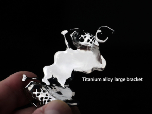 Máquina de Pulido por Plasma de Titanio para Fabricación de Soportes de Ortodoncia Dental, Placa Modelo para Impresora 3D de CoCr y Uñas de Titanio - Product Image 4