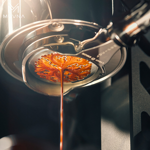 Professionale 58mm 304 in acciaio inox macchina per caffè manuale con leva a pressione variabile per macchine da caffè - Product Image 6