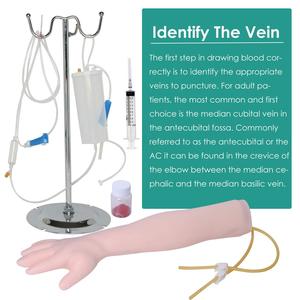 Model Latihan Pungsi Vena Intravena Multifungsi untuk Injeksi Arteri dan Ilmu Kedokteran Vena - Product Image 5