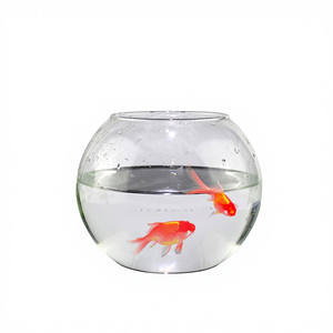 <span class=keywords><strong>Vasi</strong></span> in Vetro a Forma di Boccia, Vaso in Vetro da 20cm, Terrario in Vetro Trasparente, Vaso <span class=keywords><strong>per</strong></span> Fiori in Vetro Borosilicato - Product Image 2