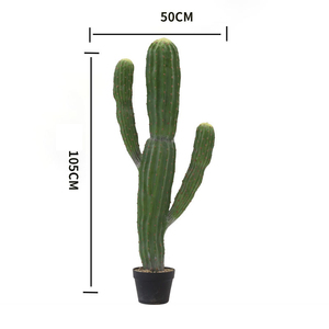 Planta de <span class=keywords><strong>Cactus</strong></span> Artificial de Plástico, Planta Decorativa, Adorno de Jardín para Decoración de Interiores, Hogar y Oficina, Plantas Artificiales - Product Image 3
