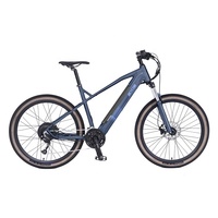 Acheter vélo électrique/E-bike VTT 29 pouces Mid Motor/e-vtt vélo exporté vers le marché USA Canada