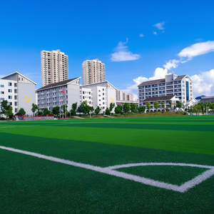 Césped sintético de fútbol de 30mm, césped sin relleno, protección UV, césped artificial para campo de fútbol - Product Image 1