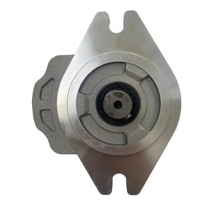 Reemplazo de la bomba de engranajes hidráulica de alta presión de la bomba de aceite de la carretilla elevadora CHANGYUAN, piezas de maquinaria de construcción para reemplazar - Product Image 3