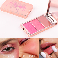 TY 08 Harga Pabrik Peluncuran Terbaru Tren Makeup Mudah Diaplikasikan Warna Natural Daya Lentur Baik Palet Blush Multifungsi