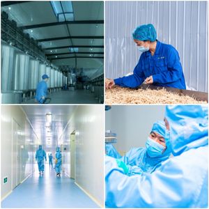 उच्च गुणवत्ता वाले अल्फा-जीपीसी cas 28319-77-9 सर्वश्रेष्ठ कीमत अल्फा जीपीसी पाउडर - Product Image 6