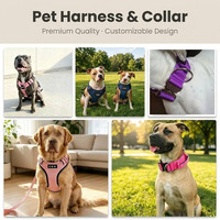 Harnais tactique réglable pour chien, pour la randonnée en extérieur, robuste, anti-traction, avec collier et laisse, pour chiens de taille moyenne à grande