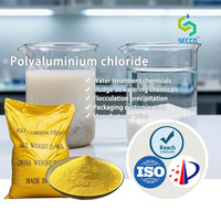 SECCO Offres Spéciales : Chlorure de Polyaluminium (PAC) HCL à 28-30% de Pureté pour le Traitement de l'Eau, Sac de 25kg