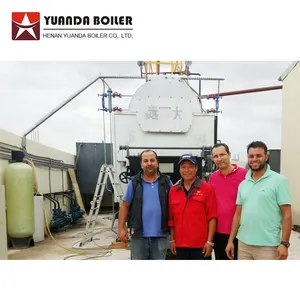 Grate Type Steam Boiler DZL 2Ton Chain Grate Stoker Automatic Feeding And Removing Dust Coal Fired Steam Boiler