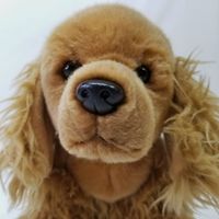 Jouets en peluche doux pour garçons, cadeaux Offres Spéciales