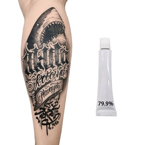 Nueva Crema en Polvo para Tatuajes con 79.9% de Pigmento para Cejas y Labios, Microblading, 10G 30G 50G, Tinta para Maquillaje Permanente - Product Image 4